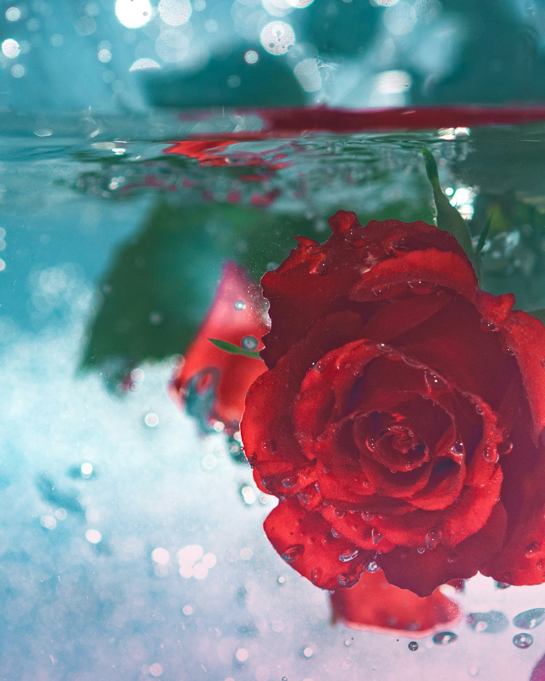 Rose PDRN Facial Mask